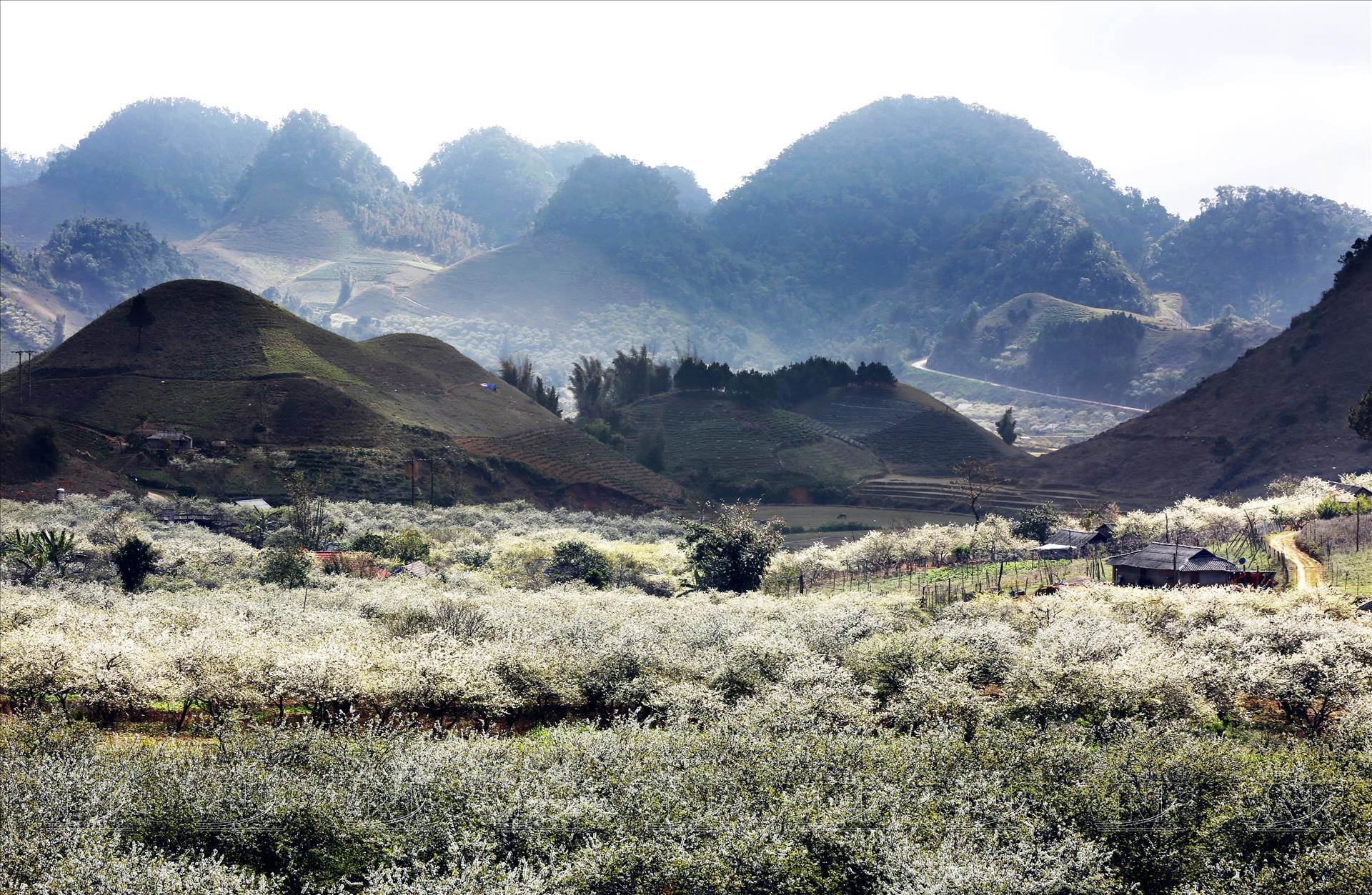Moc Chau travel