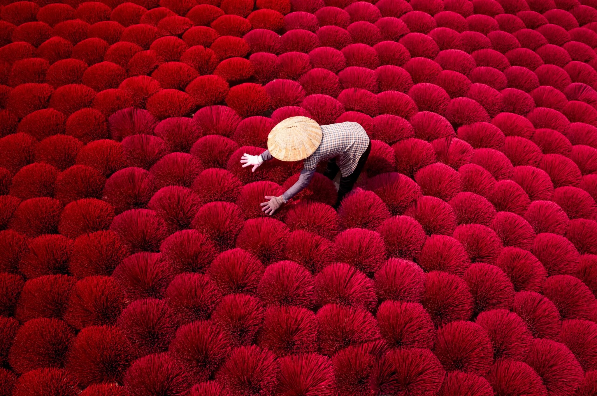 Vibrant crimson incense stick bouquets drying under the summer sun in Quang Phu Cau, Hanoi.