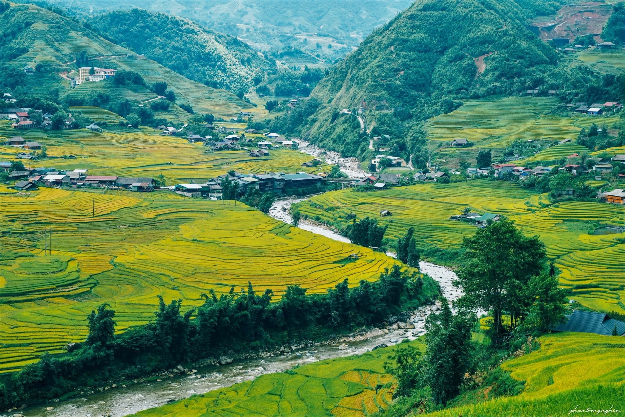 Sapa rice terraces