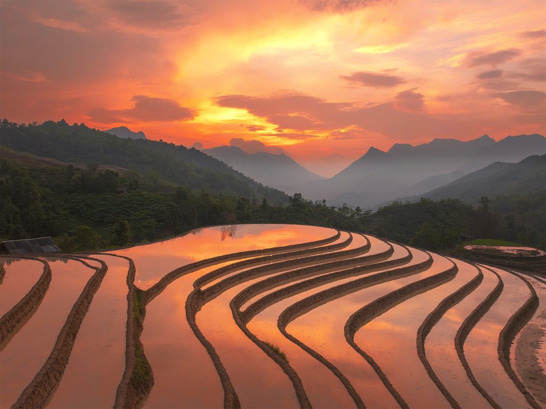 Sapa rice terraces