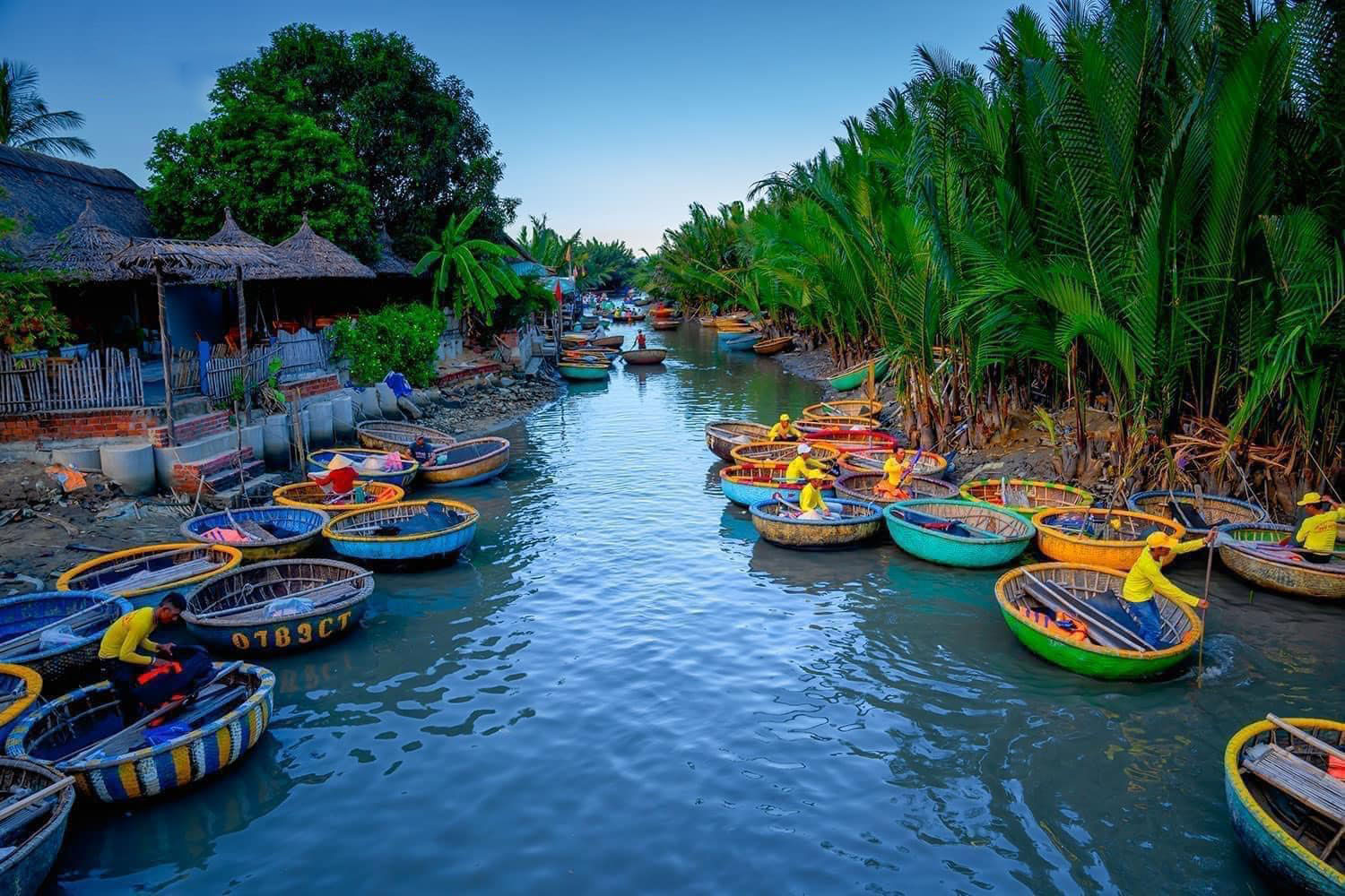 Bay Mau coconut forest