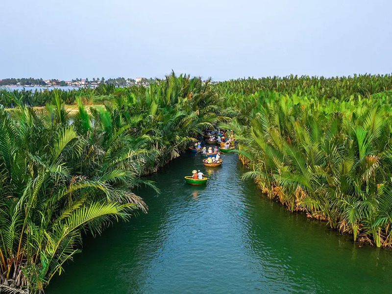 Bay Mau coconut forest