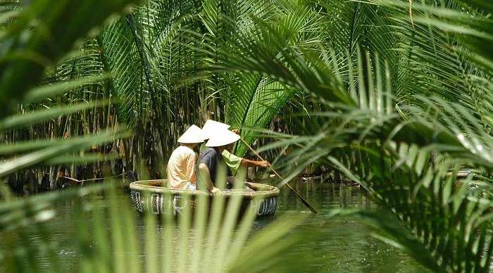 Bay Mau coconut forest