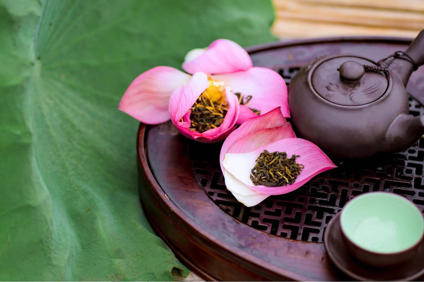 lotus hanoi